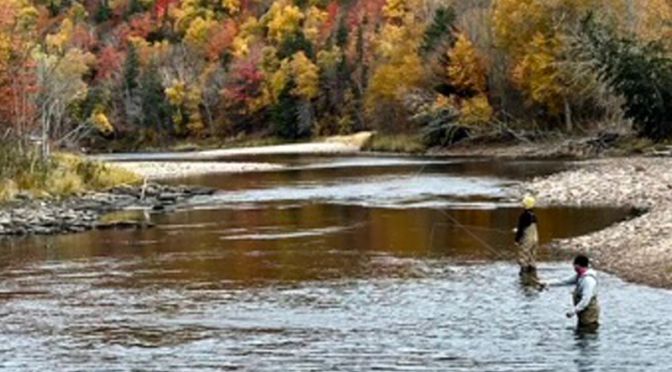Fly fishing in shallow river with autumn colours in Cape Breton
